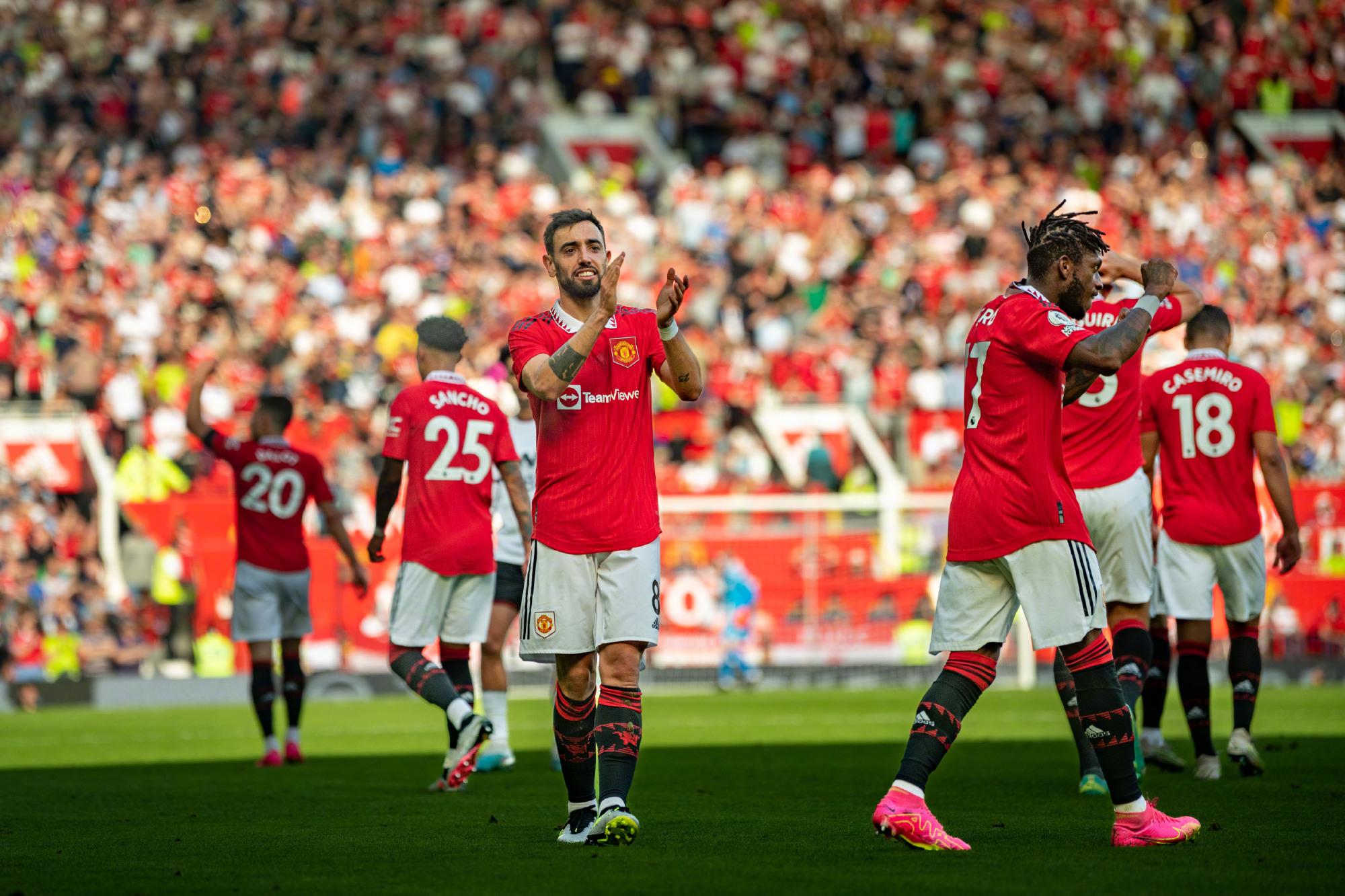 培养年轻球 培养年轻球